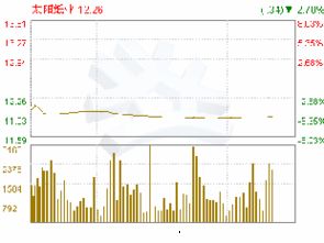 太阳纸业的经营范围